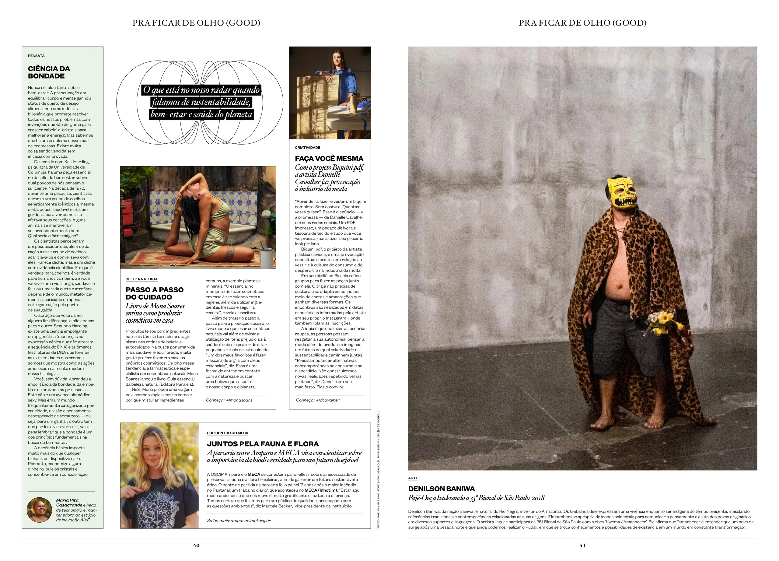 MECA (Journal) #31 — páginas 40 e 41
